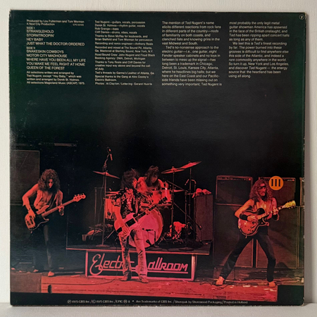 TED NUGENT Ted Nugent LP (1ST PRESS EUROPE)
