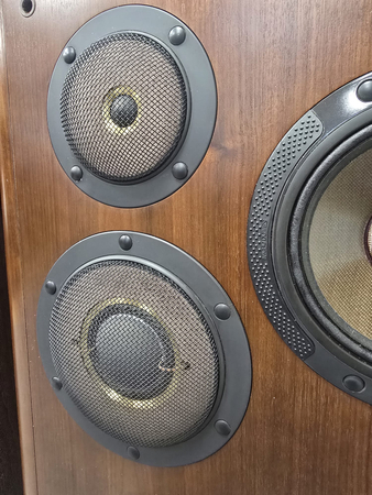 KOLUMNY STEREO DIATONE DS-V5000