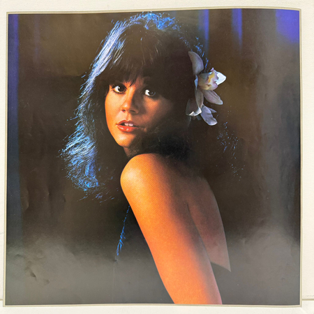 LINDA RONSTADT Simple Dreams LP (1 PRESS JAP)