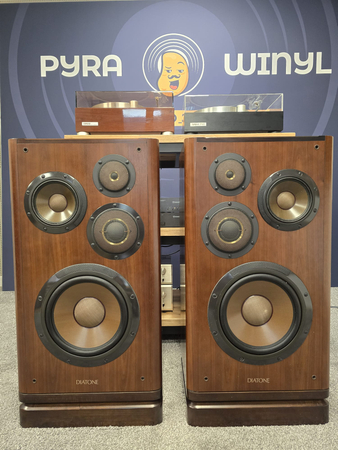 KOLUMNY STEREO DIATONE DS-V5000